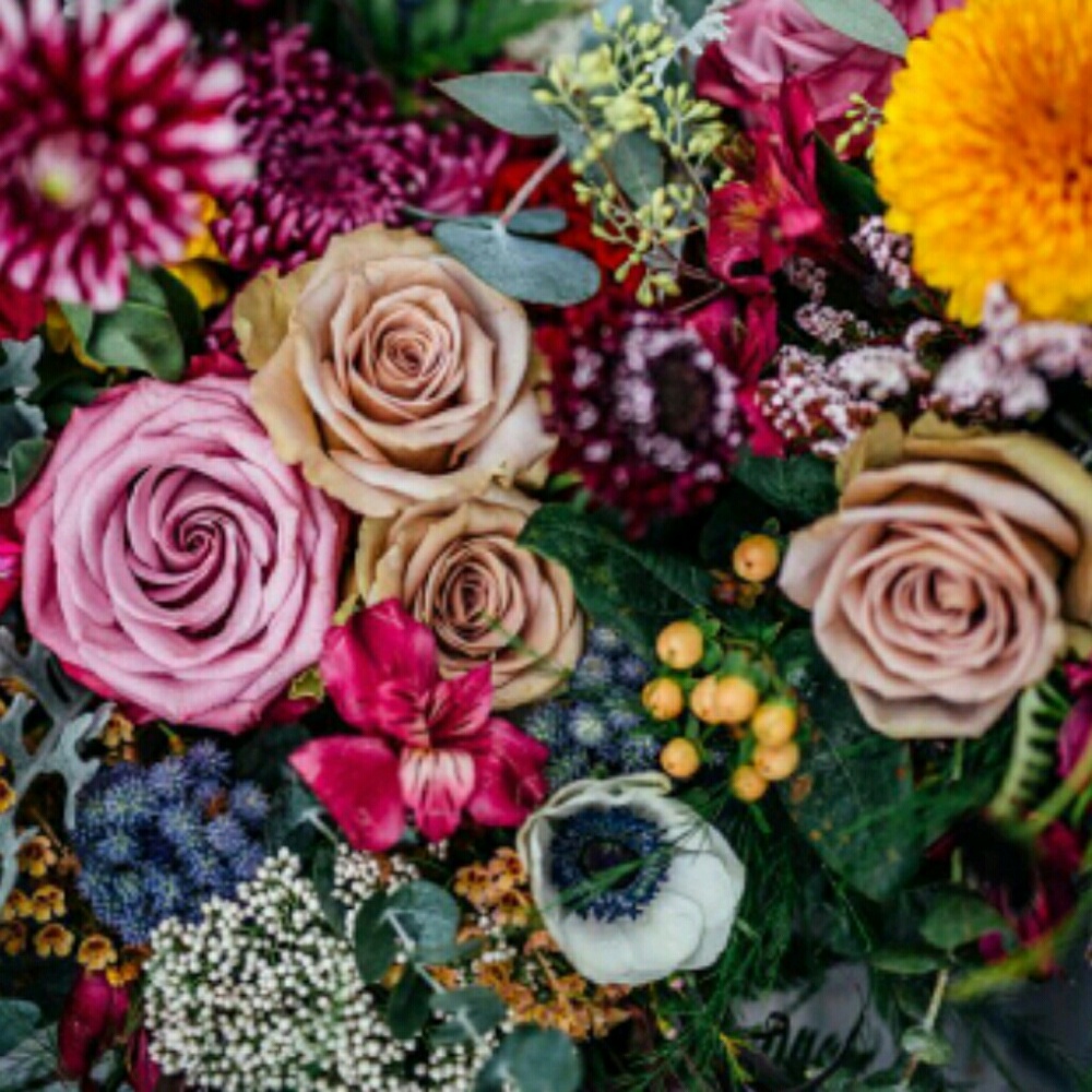 Meet your Posher, Jennie